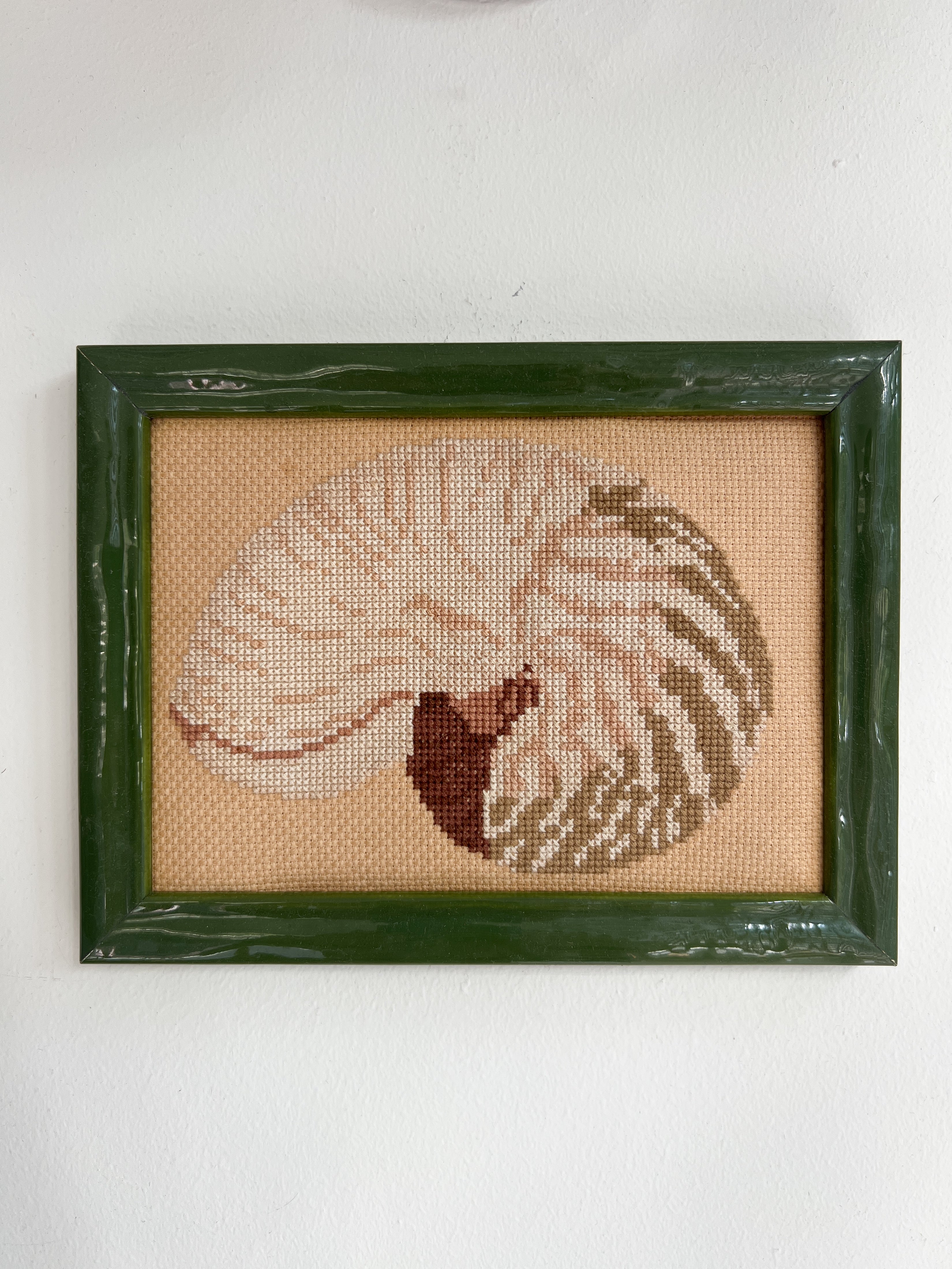 Nautilus Shell Needlepoint